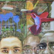 link to Know Your Rights page