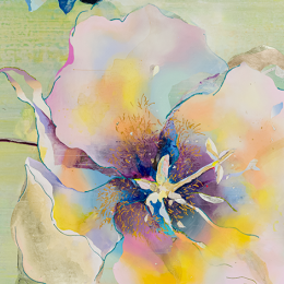 Arts and Health Week